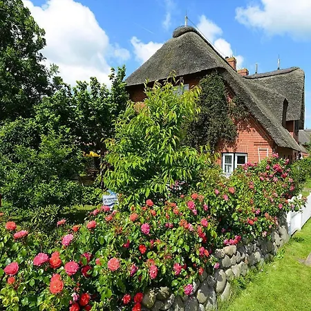 In Auf Foehr Διαμέρισμα Oevenum