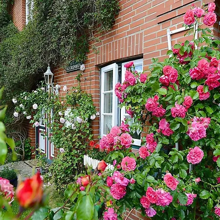 Διαμέρισμα In Auf Foehr